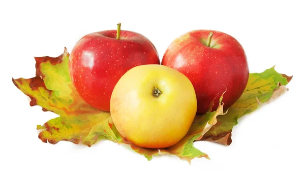 Beautiful autumn harvest and leaves isolated on white. Apple and nuts on white background — Stock Photo, Image