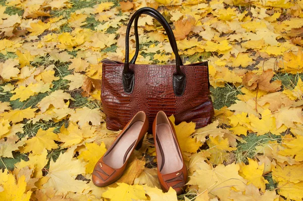 Lederen schoenen en laarzen met herfstbladeren. Schoenen en tassen collectie verkoop. Herfst verkoop — Stockfoto