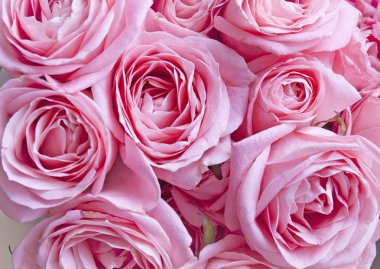 Güzel pembe gül demet 