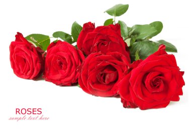 Güzel pembe gül demet 