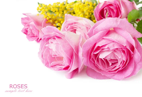 Beautiful pink rose bunch — Stock Photo, Image