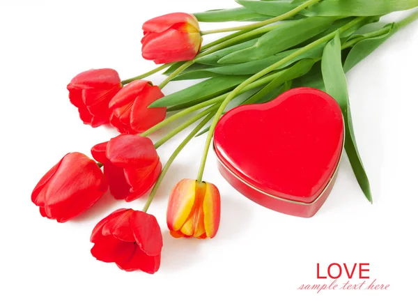 Tulipas vermelhas isoladas em fundo branco. O conceito do Dia dos Namorados. Conceito de amor — Fotografia de Stock
