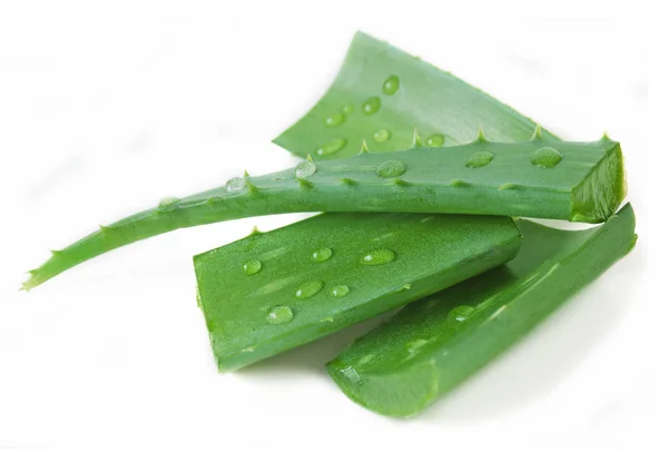 Νωπά φύλλα aloe vera με σταγόνες νερού που απομονώνονται σε λευκό — Φωτογραφία Αρχείου