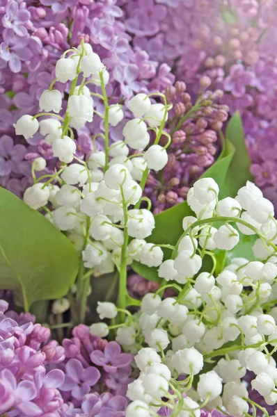 Flieder und Maiglöckchen Blumen Hintergrund — Stockfoto