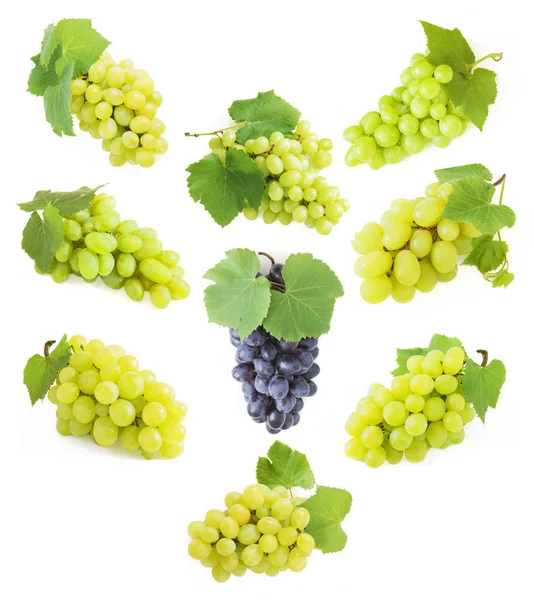 Grapes branch set isolated on white background — Stock Photo, Image