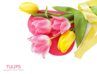 Lale demet izole üzerinde beyaz arka plan