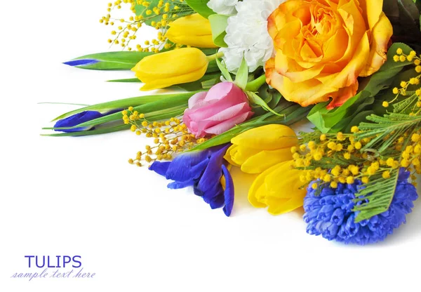 Tulips, roses, aster, mimosa and iris bunch isolated on white background — Stock Photo, Image