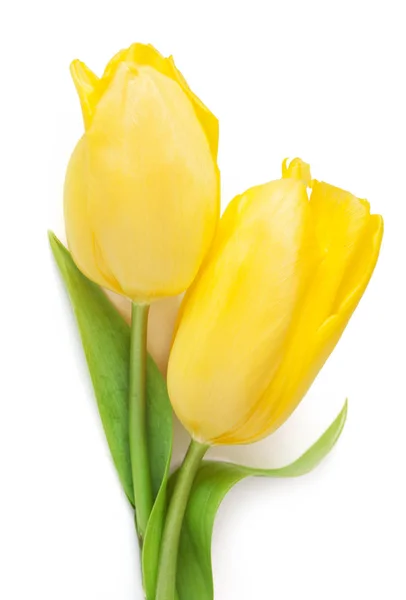 Tulpenstrauß isoliert auf weißem Hintergrund — Stockfoto