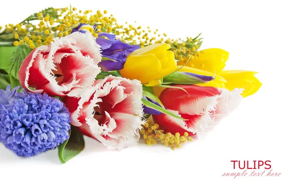 Tulpen, Rosen, Aster, Mimosen und Irissträuße isoliert auf weißem Hintergrund — Stockfoto