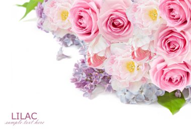 Gül, Lila çiçek ve Lale arka plan üzerinde beyaz örnek metin ile izole