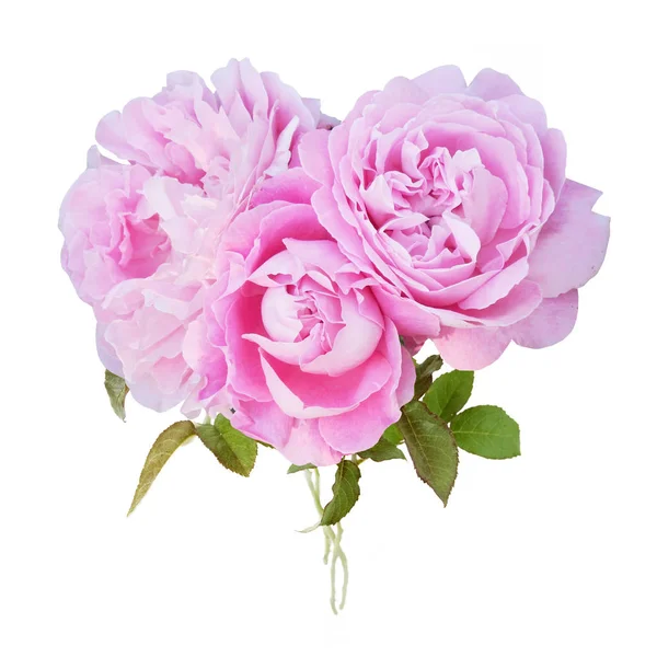 Beautiful roses bunch isolated on white background — Stock Photo, Image