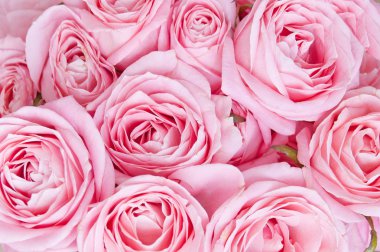 Güzel pembe gül demet 