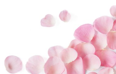 Pembe gül yaprakları arka plan