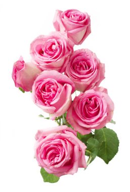 Güzel pembe gül demet 