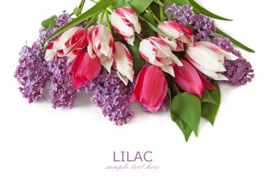 Eflatun çiçekler çok güzel arka plan