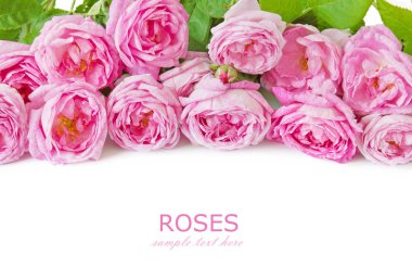 Güzel pembe gül demet 