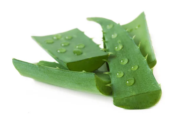 Feuilles fraîches d'aloe vera avec gouttes d'eau isolées sur blanc — Photo