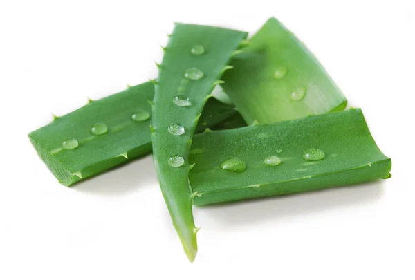 Frische Aloe Vera Blätter mit Wassertropfen isoliert auf weiß — Stockfoto
