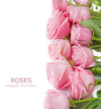 Pembe gül demet izole üzerinde beyaz arka plan