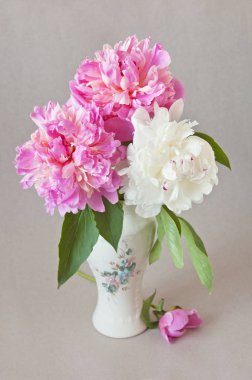 Gri arka planda vazoda güzel şakayık çiçekleri