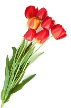 çevik kağıt görevi ve ahşap arkaplanda boş sayfa