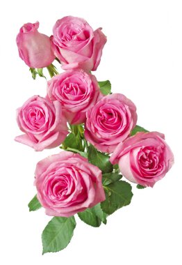 çevik kağıt görevi ve ahşap arkaplanda boş sayfa