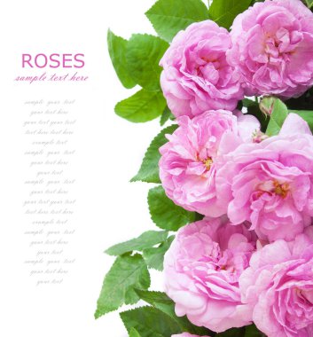 çevik kağıt görevi ve ahşap arkaplanda boş sayfa