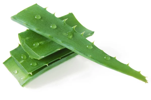 Grüne Aloe Vera Pflanze Auf Weißem Hintergrund — Stockfoto