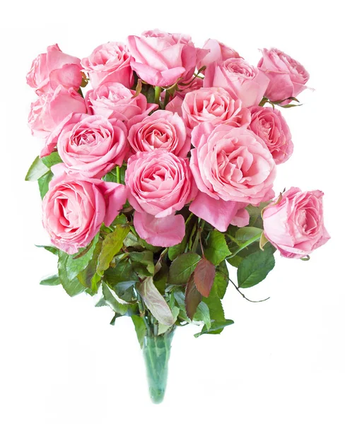 Rosas Rosadas Aisladas Sobre Fondo Blanco — Foto de Stock