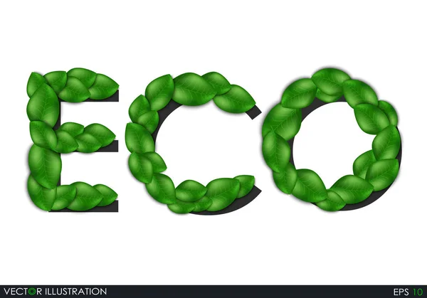 Eco felirat a levelek. — Stock Vector