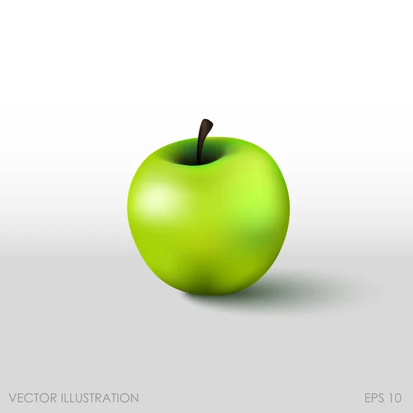 Grüner Apfel in realistischem Stil auf weißem Hintergrund — Stockvektor