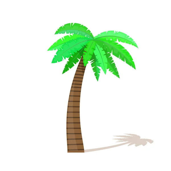 Palmen im Cartoon-Stil isoliert auf weißem Hintergrund — Stockvektor