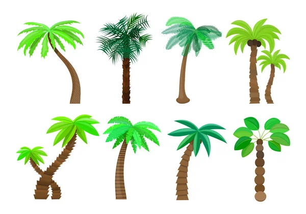 Palmera aislada en estilo de dibujos animados ambientada sobre fondo blanco Vector Illustration — Vector de stock