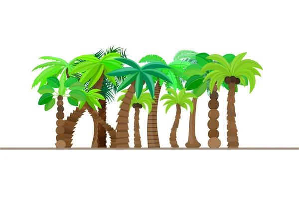 Να Palm tree, δάσος, ζούγκλα που απομονώνονται σε καρικατούρα στυλ, σε λευκό φόντο. Εικονογράφηση διάνυσμα. — Διανυσματικό Αρχείο