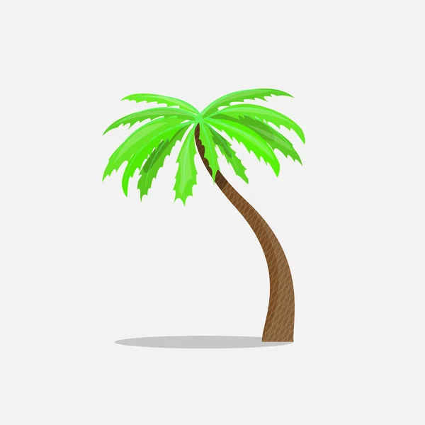 Palmeras en estilo de dibujos animados aisladas sobre fondo blanco Vector Illustration. Símbolo de planta de árbol tropical de verano — Vector de stock