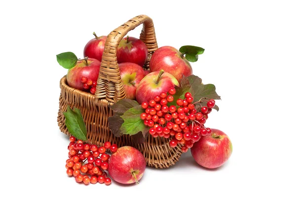 Piros alma és a viburnum bogyók egy kosárban egy fehér háttere Jogdíjmentes Stock Képek