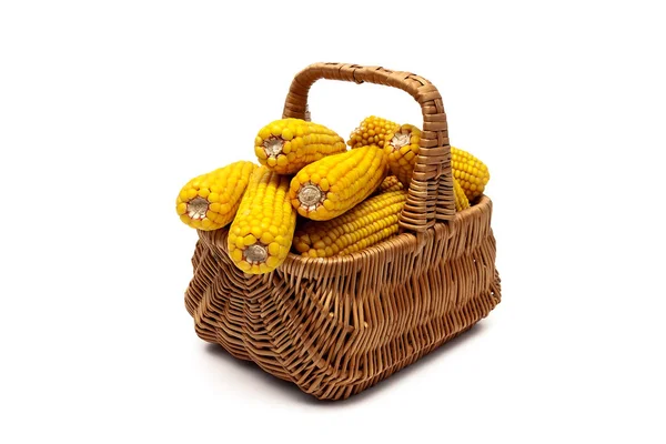 Orelhas de milho em uma cesta em um fundo branco — Fotografia de Stock