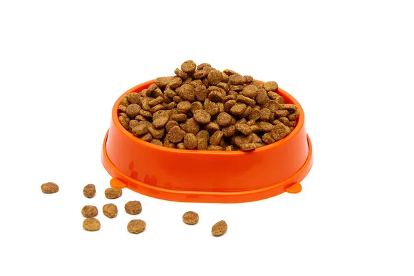 Comida para mascotas en un tazón sobre un fondo blanco — Foto de Stock