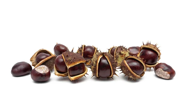 Frutos de castanha isolados sobre fundo branco. — Fotografia de Stock