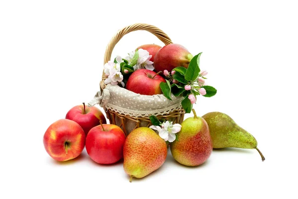 リンゴと梨の白い背景の上のバスケットに ストックフォト