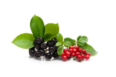 çilek chokeberry ve kızılcık beyaz bir arka plan üzerinde