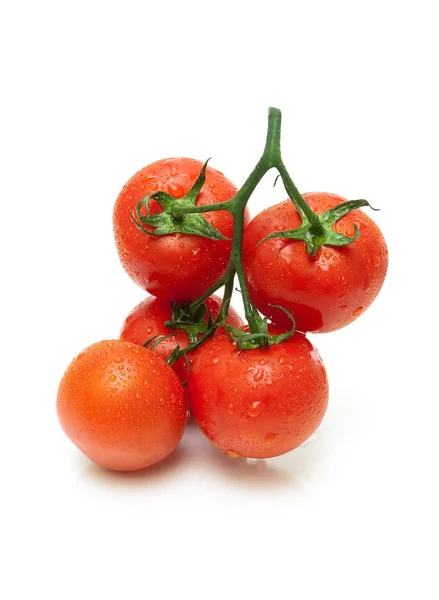 Ripe tomatoes closeup on white background — Stock Photo, Image