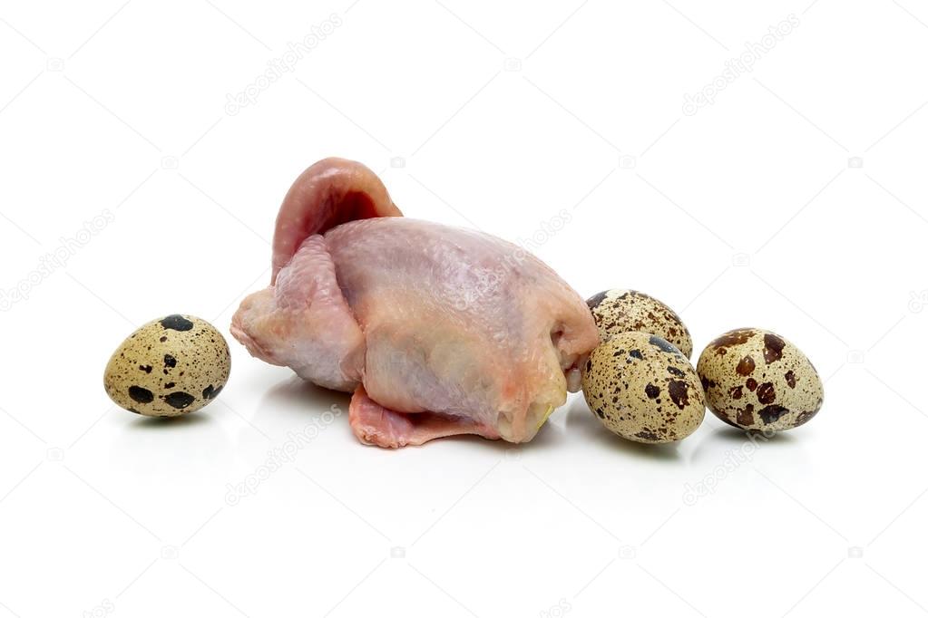 quail carcass and eggs on a white background