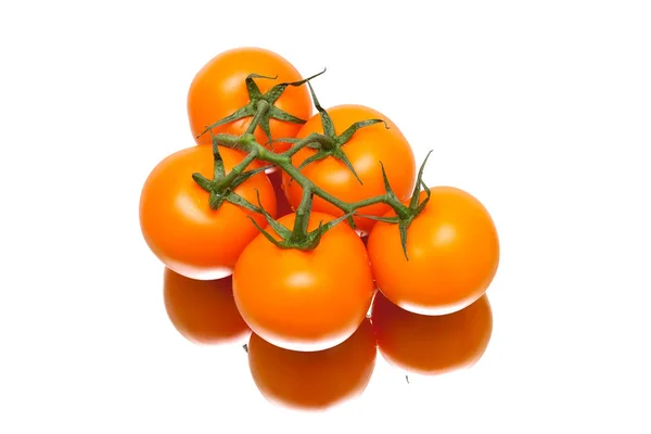 Bouquet de tomates mûres sur fond blanc avec réflexion — Photo