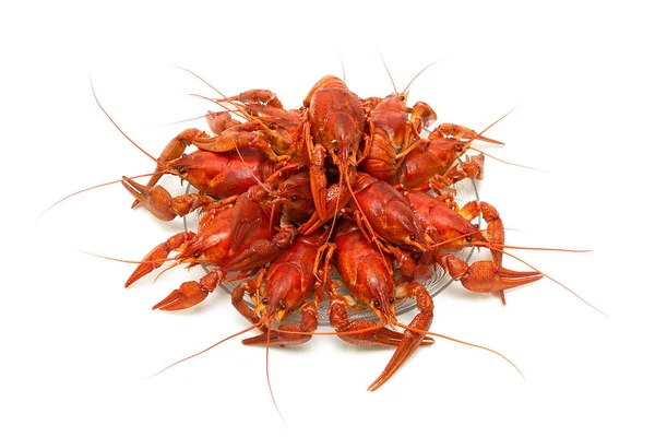 Boiled river crayfish on a plate on a white background. — Stock Photo, Image