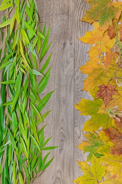 Branches of willow and maple leaves on a wooden background — Stock Photo, Image