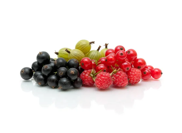 Reife Beeren von roten und schwarzen Johannisbeeren und Stachelbeeren auf weißem — Stockfoto