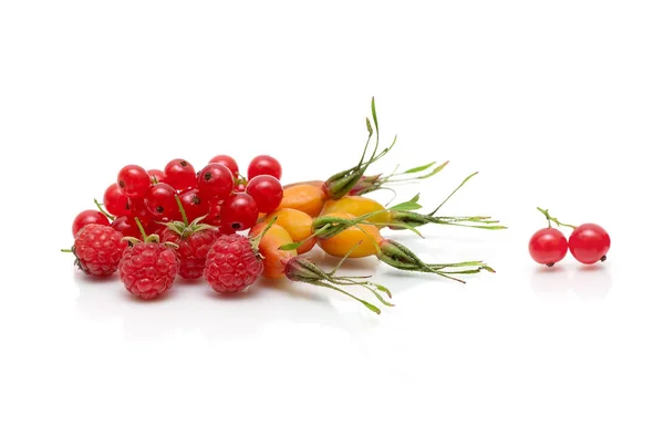 Bär av hallon, röda vinbär och dogrose på en vit backgro — Stockfoto