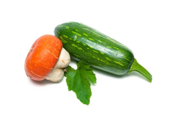 Zucchini och pumpa isolerad på vit bakgrund — Stockfoto