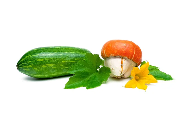 Citrouille et courgettes isolées sur fond blanc gros plan — Photo